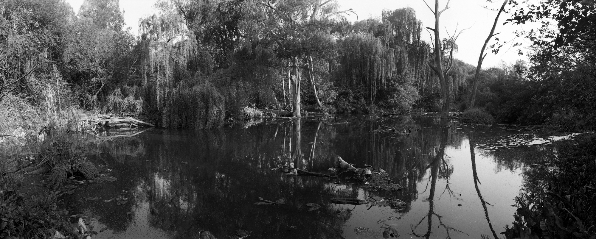 Polluted Waters | Gauteng
